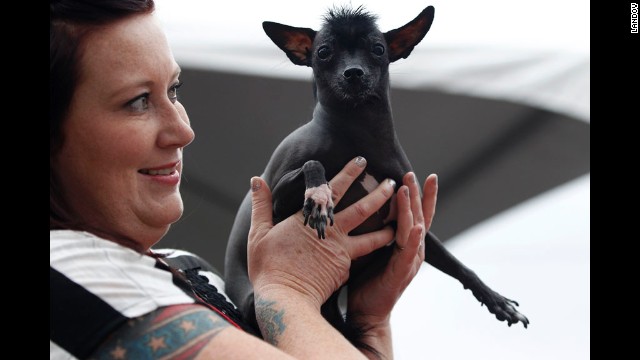 Annie Ragsdale of Lodi, California, carries Rue, a 2-year-old Chinese crested.