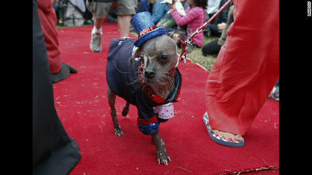 Mugly struts down the red carpet.