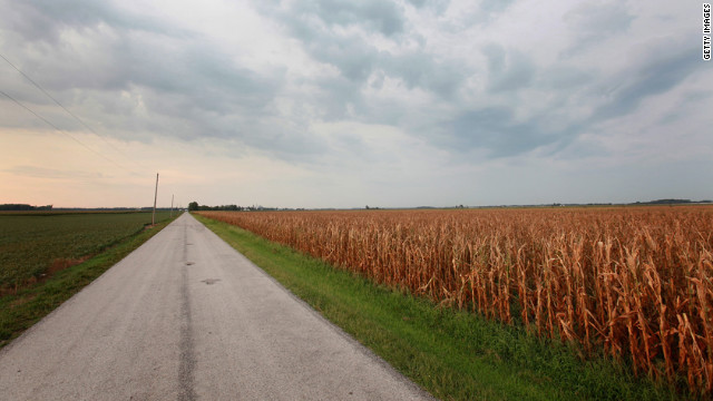 A field of corn shows the effects of the drought on a farm near Fritchton, Indiana, on Wednesday, July 17. 