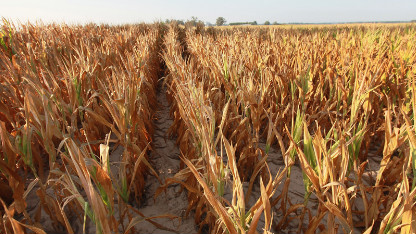 Drought disaster hits 39 more counties