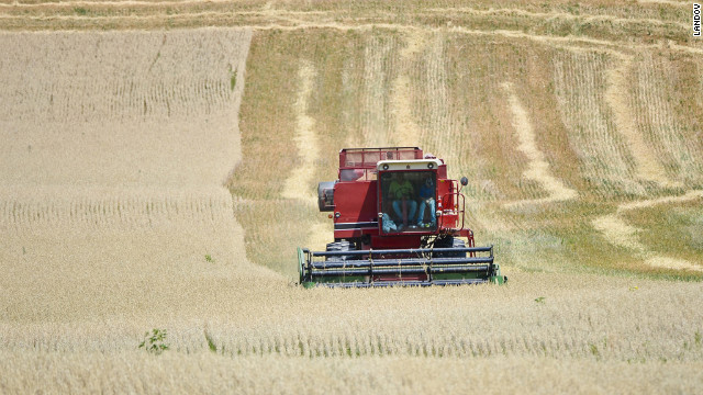 Farmer Ed Schoenberg and his son harvest oats early in attempt to salvage their drought damaged crop near Burlington, Wisconsin, on July 17.