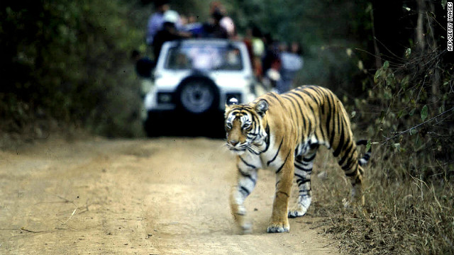 120725070514-india-tiger-parks-story-top.jpg