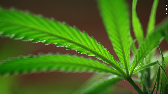 Uruguayan government proposes marijuana legalization bill