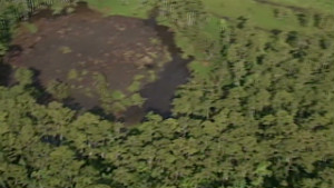 houston sinkhole