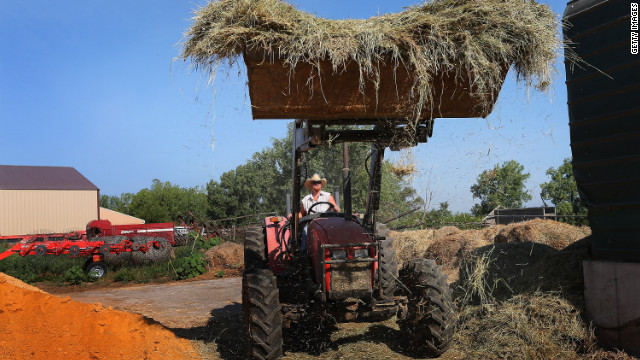 Jeremy Tilton adds hay to a feed mixer for cattle he raises on pastureland near Cuba, Illinois.