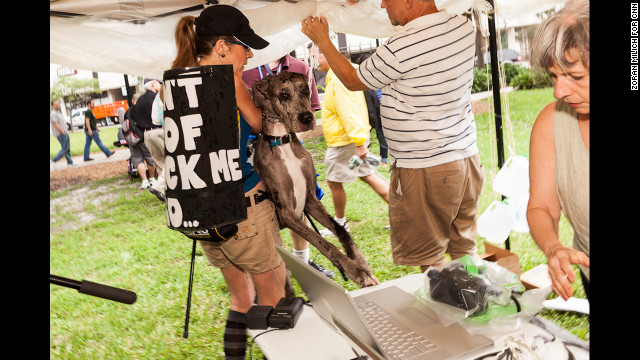 A Great Dane, Dora, is held back as she jumps for the table during a Dogs Against Romney protest on Sunday.
