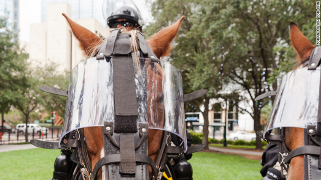 Mounted police horses from across Florida gear up for the convention.