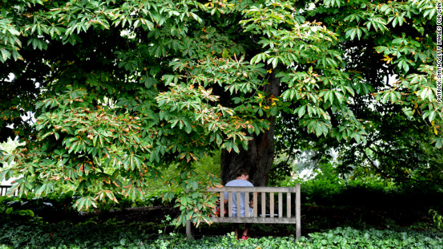 A student studies on campus.