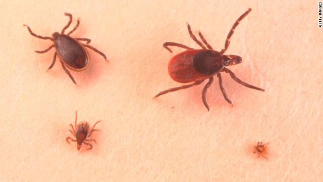 New virus found in Missouri; ticks suspected