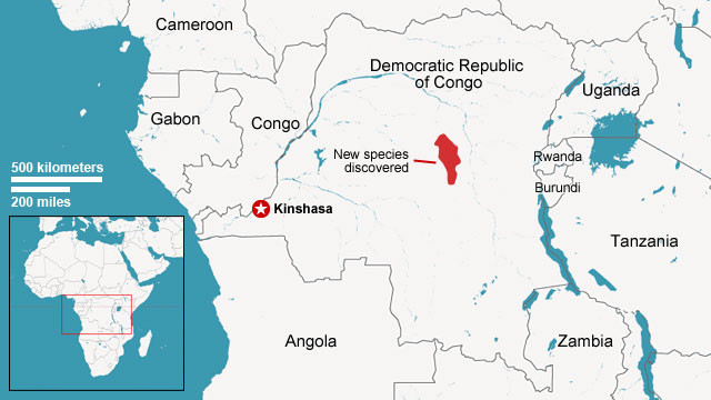 Territoire national singe nouvelle