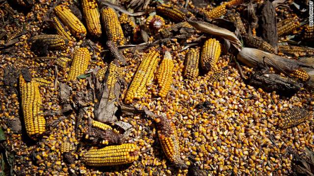 Photos: Drought ravages Midwest