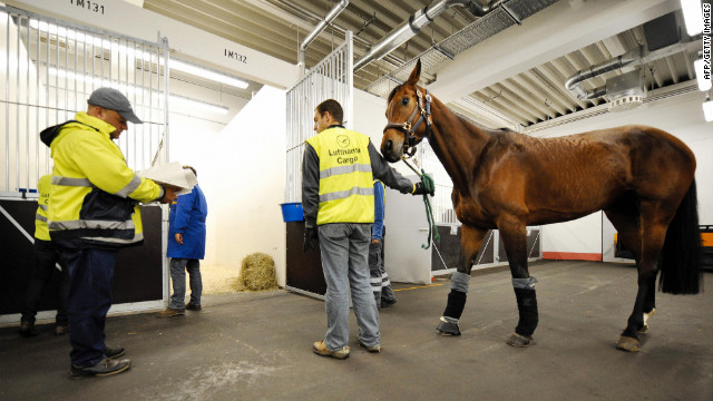 Operated by Lufthansa Cargo, the Frankfurt Animal Lounge in Germany facilitates the movements of more than 100 million animals every year. 