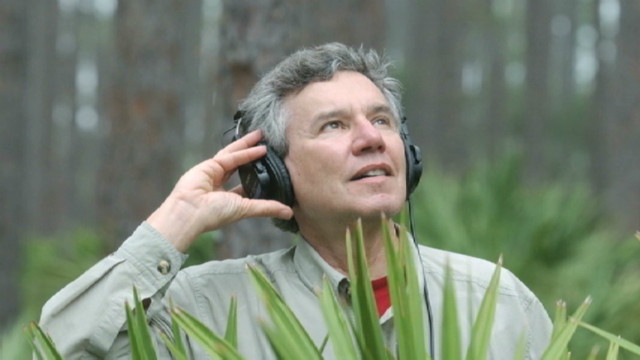 El hombre que graba "biofonías", los sonidos de la naturaleza en extinción