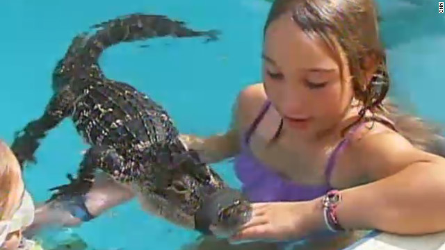 Un hombre organiza fiestas "salvajes" para niños con caimanes en la piscina