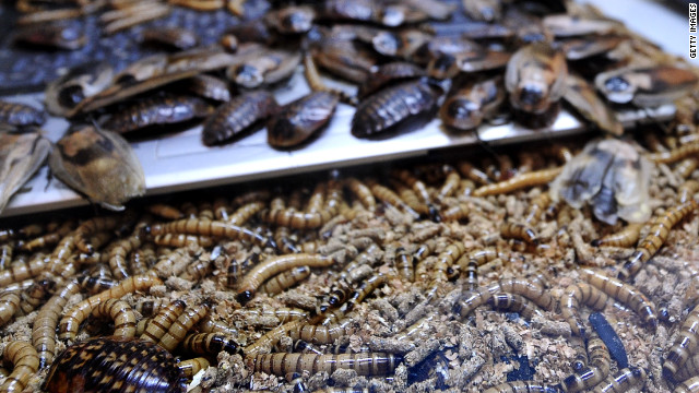 A Florida man died shortly after eating dozens of roaches and worms during a contest to win a python from a reptile store.