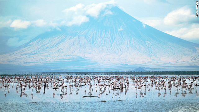 Lesser flamingoes at the Lake Natron at the foot of Ol Doinyo Lengai.