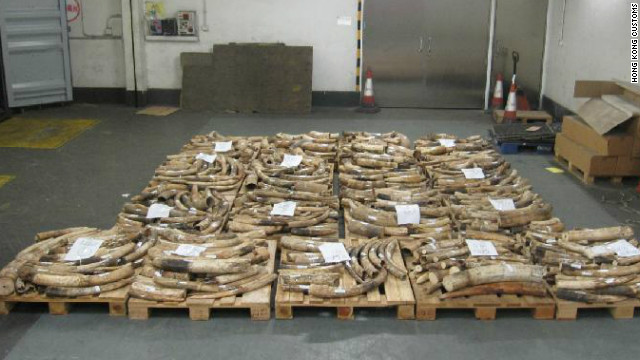 Hong Kong incauta cuatro toneladas de marfil africano