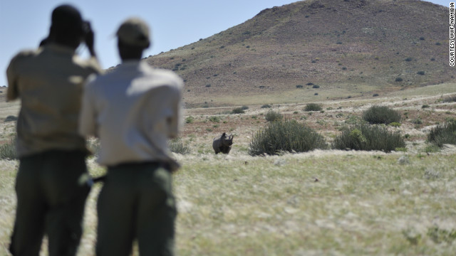 Namibia salvó animales... pagando a los cazadores furtivos