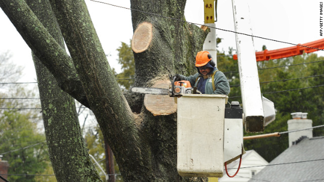 A worker cuts down a tree near American University in Washington on Tuesday.