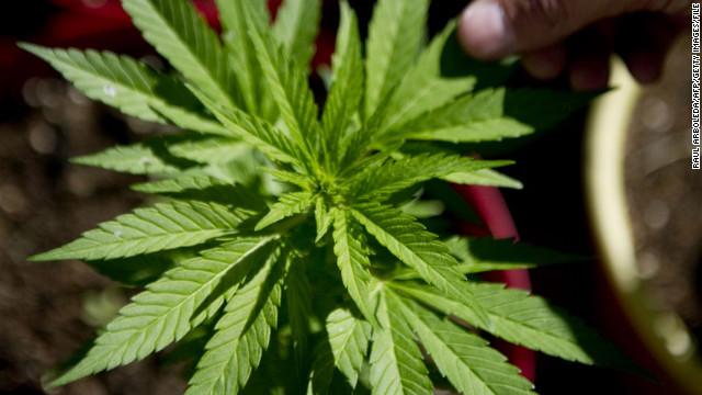 CNN Poll: Support for legal marijuana soaring