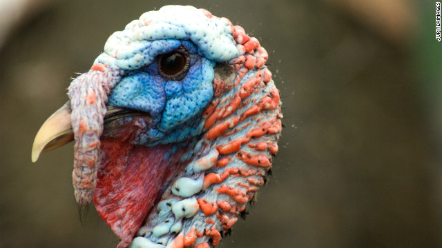 This Thanksgiving, the secret ingredient is 'gratitude'