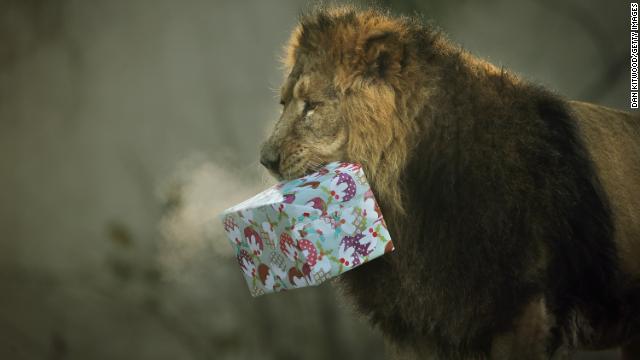 The Belief Blog's guide to kitschy Christmas gifts