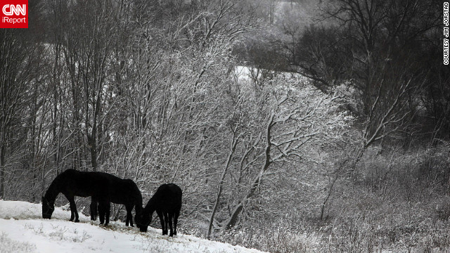 A December winter storm brought much needed moisture to drought-stricken Wisconsin. Jim Jorstad said, "The photos were stunning to capture. I drove up in the rural area of Chaseburg, Wisconsin. Some of the photos...were taken in and around some Amish communities nearby."