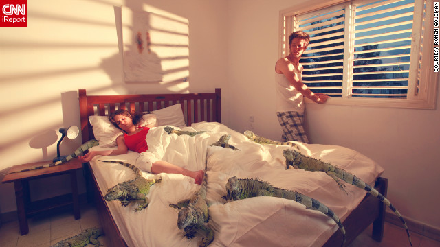 "I knew how the image was supposed to look in my mind, but was stuck trying to figure out, where do I get an iguana?" Goldman said. The photo represents a fear of relationships, as in, "Is there room in that bed for me?" There was actually only one iguana, and the girl is really in bed with the lizard.