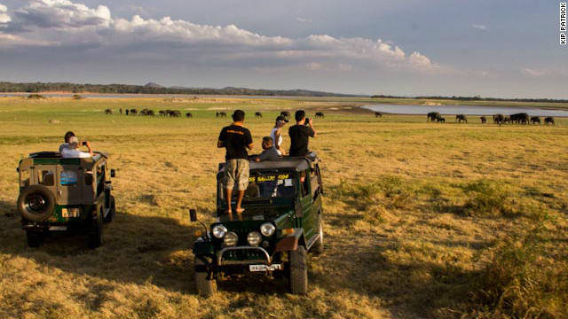 The Gathering attracts some of the largest herds of elephants seen anywhere. Tourists in jeeps watch a group of more than 30 animals making their way toward Minneriya's reservoir.