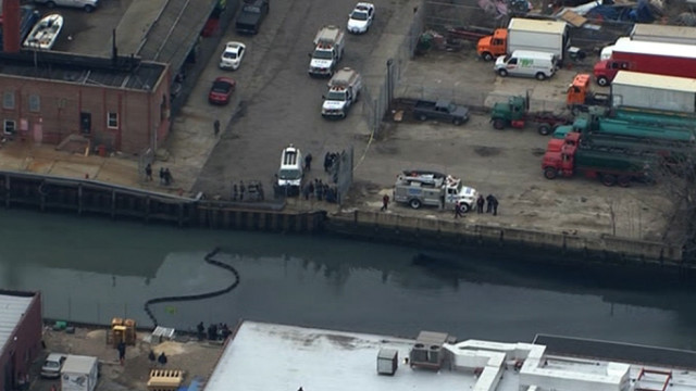 Rescuers: Dolphin stranded in polluted New York canal dies