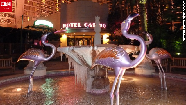 "I never saw palm trees with icicles nearby," remarked Jutka T. Emoke Barabas on this frozen fountain, which she photographed on January 14. She's been in Vegas during the winter before but says she "never saw so much ice."