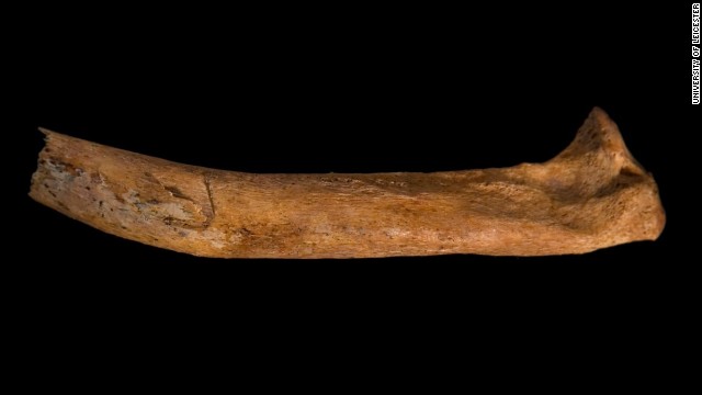 Archaeologists say it appears Richard's corpse may also have been mistreated. The image shows a cut mark on the right rib.