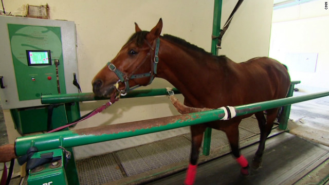 "They learn to use the treadmill very quickly. It can happen that a horse gets crazy -- just like humans. But they're usually very relaxed," De Mieulle says.