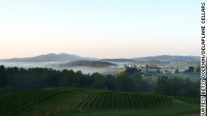 Family-owned Delaplane Cellars boasts panoramic views of the Northern Virginia mountains.