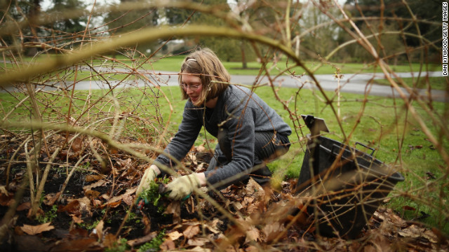 Gardener Ruth Calder clears weeds and dead leaves at Kew Gardens on March 1 in Kew, England.