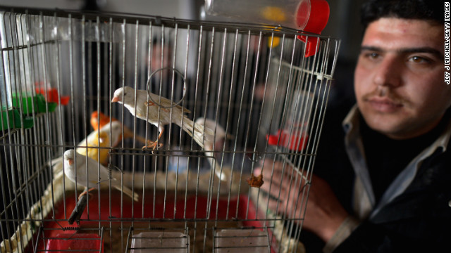 A man shows off his pet birds as new Syrian refugees arrive at the International Organization for Migration at the Zaatari refugee camp on January 30.