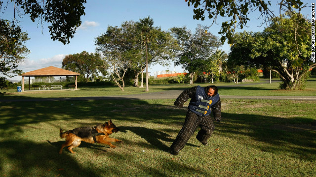A German shepherd police dog undergoes training exercises in October 2009 at Guantanamo Bay. 