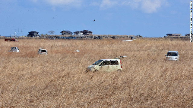 Japanese Tsunami Debris Makes Its Way Into Hawaiian Birds