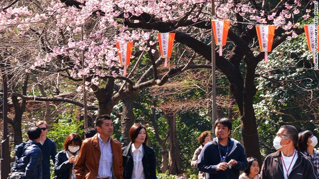 Tokyoites hit the parks over the weekend as sakura (Japanese cherry blossom) season got off to a record early start.