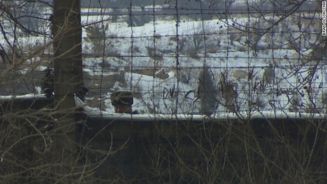 On the other side of the bridge, we spotted some North Korean soldiers looking back from behind the barbed wire, as well as a farmer herding goats in the field.