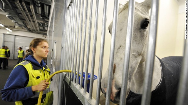 Much like humans, race horses require passports to travel, though instead of a photo they include a silhouette with details of markings, the names of owners, and vaccine records. 