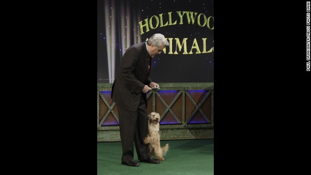 Leno hosts the Hollywood Animals segment on February 28, 2007.