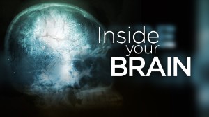 This story is part of CNN\'s Inside the Brain series. 
