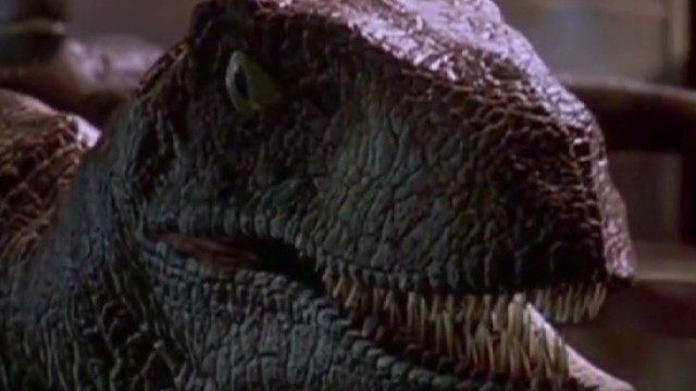 Tortoise mating in 'Jurassic Park'? You don't say ...