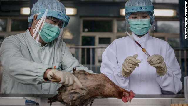 La gripe aviar llega hasta Pekín