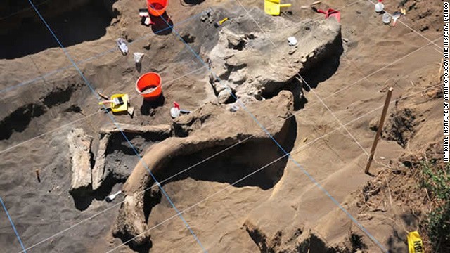Mammoth remains discovered in Mexico