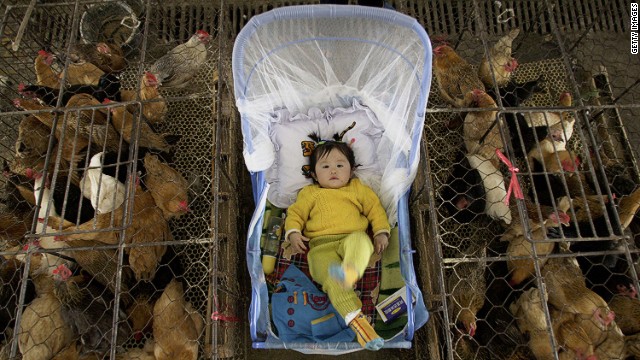 La gripe aviar se fortalece entre antiguas tradiciones de China