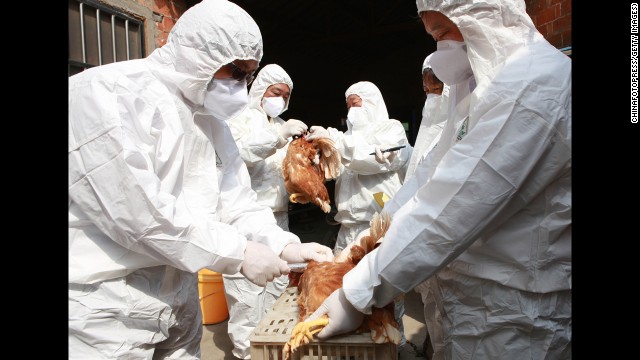 Ya son 102 los casos de gripe aviar en China