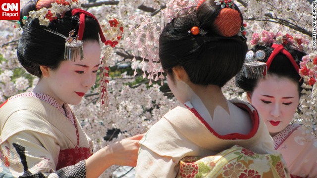 Geishas stand among a few of Japan's famed cherry trees during peak <a href='http://ireport.cnn.com/docs/DOC-905320'>cherry blossom season</a>.