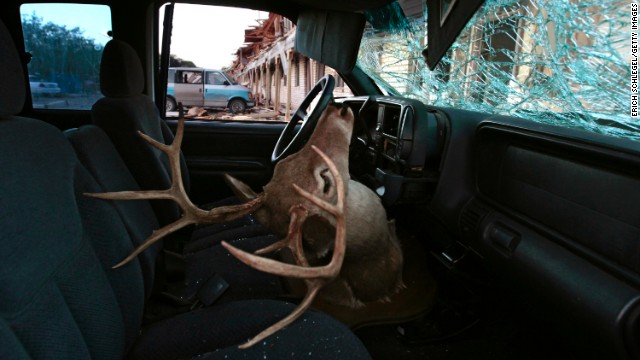 A deer head mount sits inside a car parked next to a apartment complex damaged in the explosion.